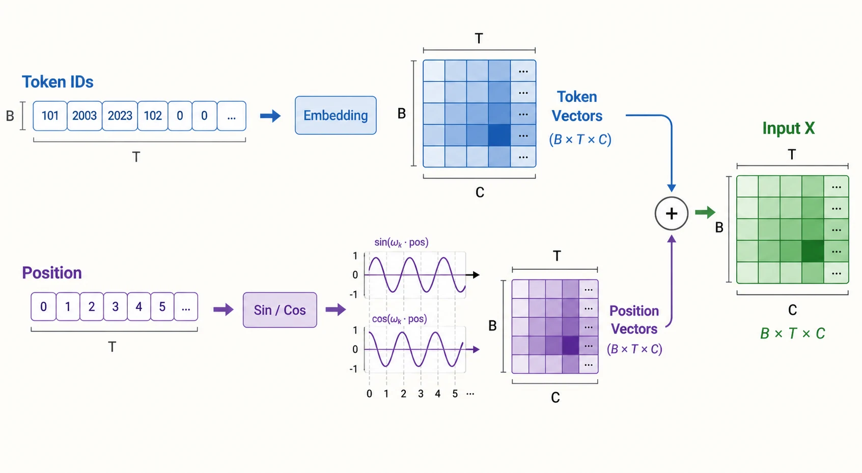 Token Embedding 与位置编码相加
