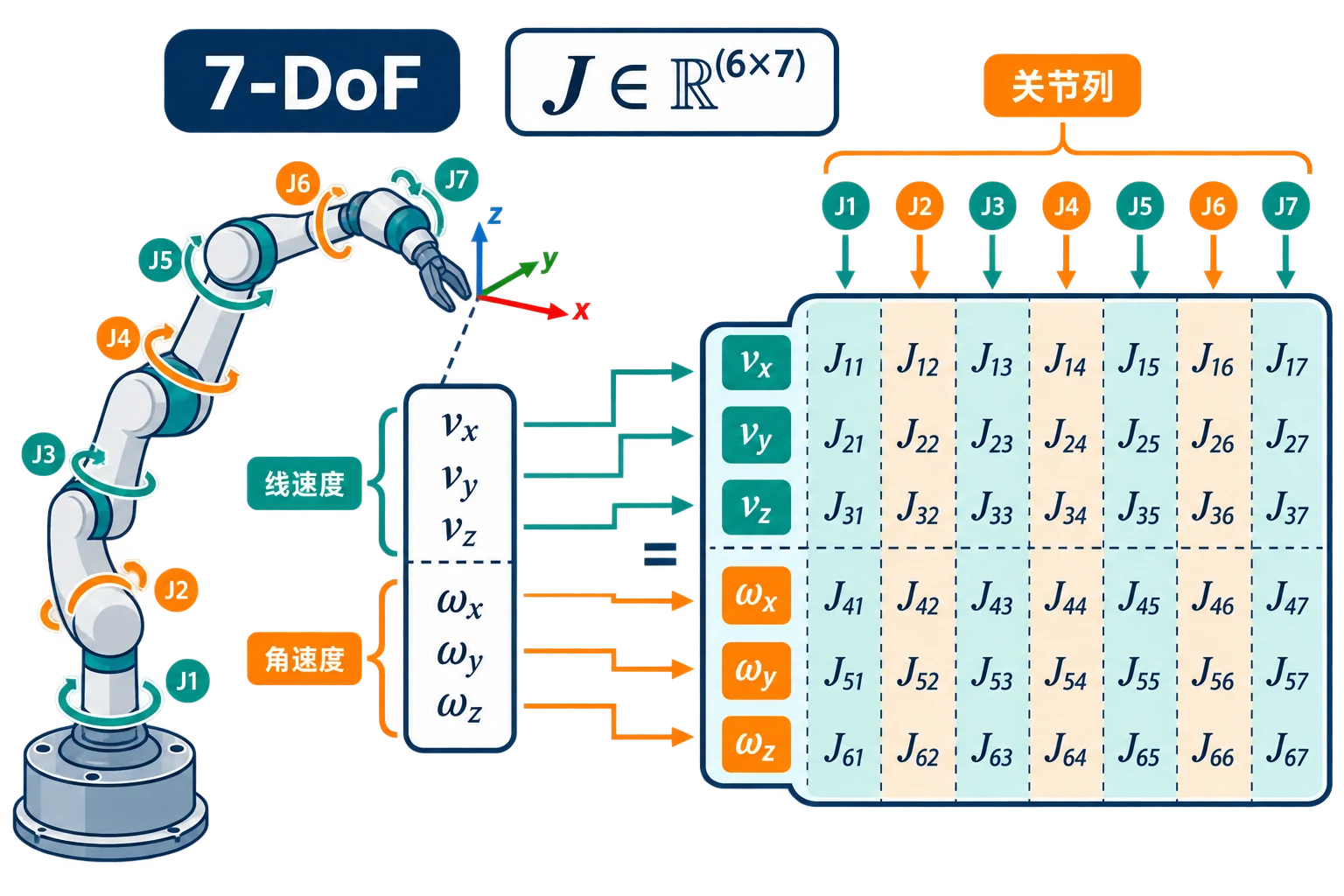 7-DoF 机械臂的 6×7 雅可比矩阵维度与行列含义